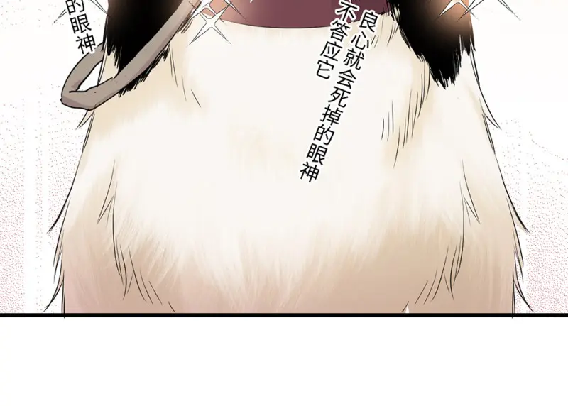 宠物食粮·一 第144页