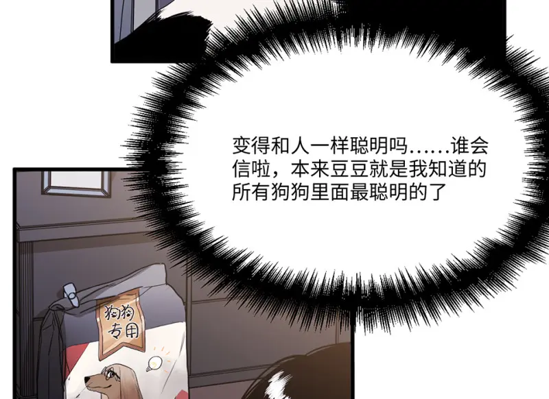 宠物食粮·一 第153页