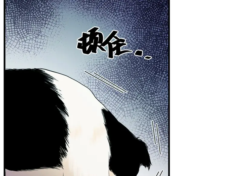 宠物食粮·一 第160页