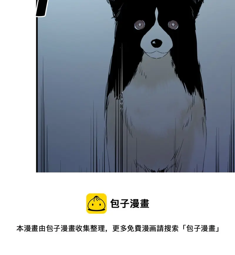 宠物食粮·一 第181页