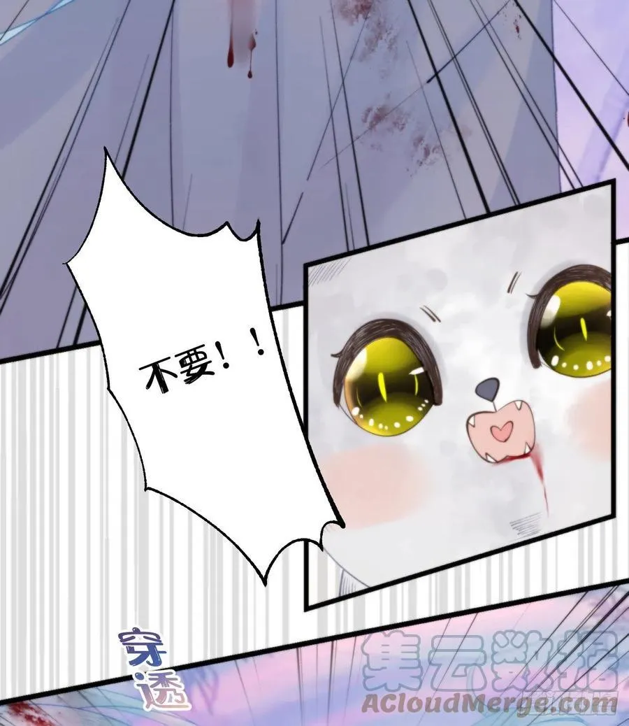 95.妖丹 第40页