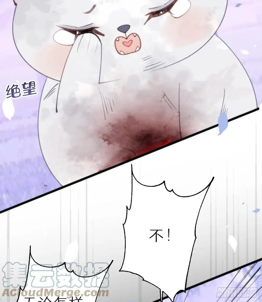 95.妖丹 第52页