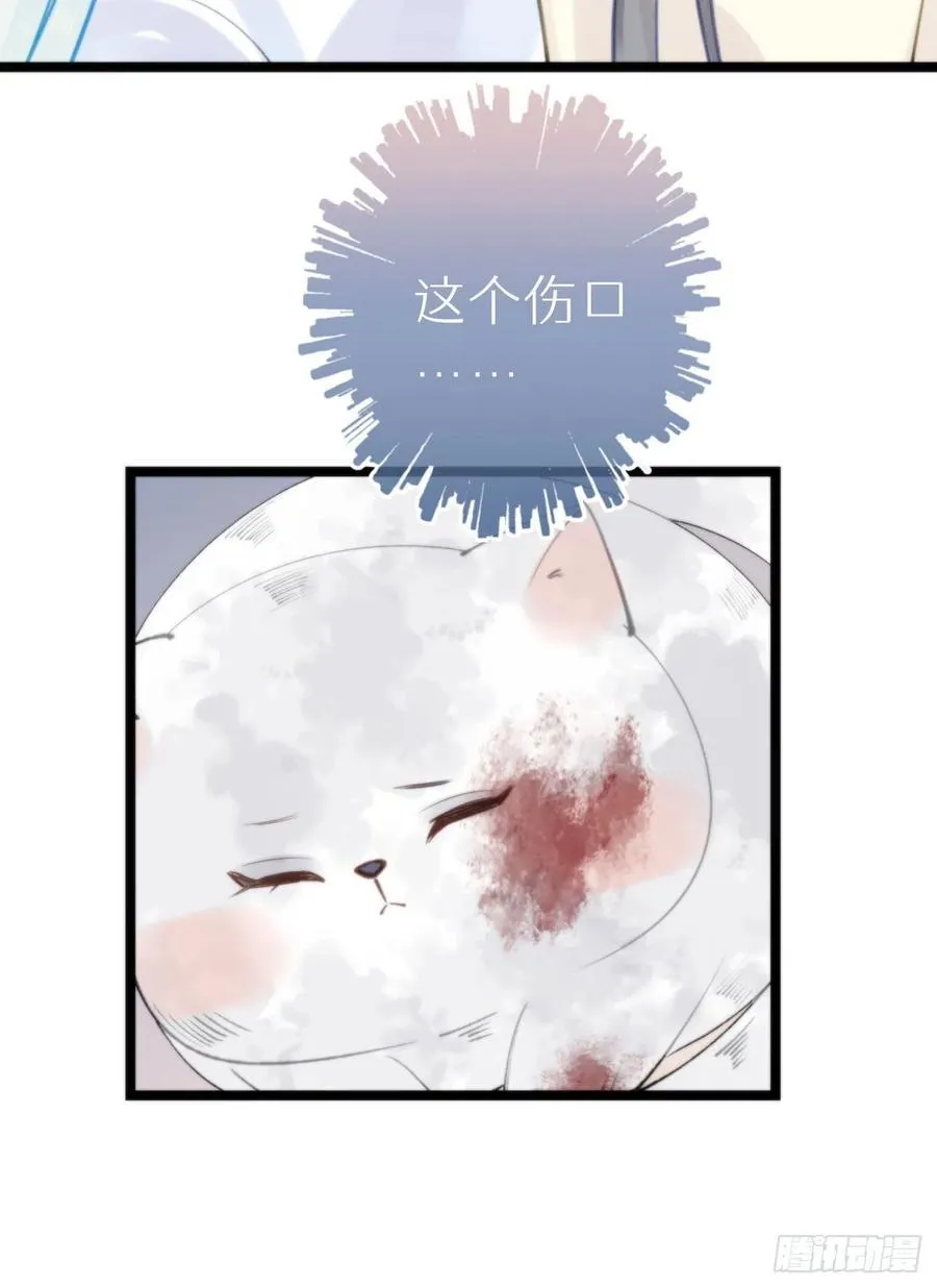 90.完全吻合的伤口？ 第51页