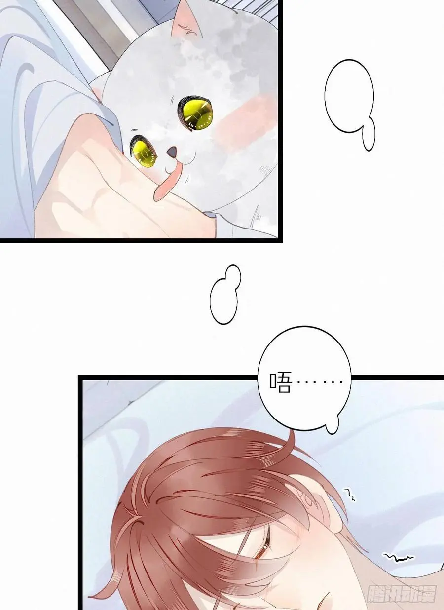 75.是时候安排绝育了 第18页