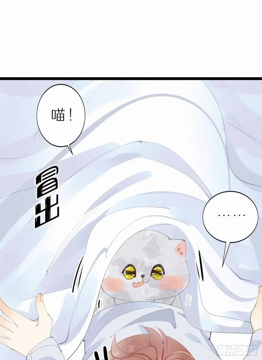 75.是时候安排绝育了 第24页