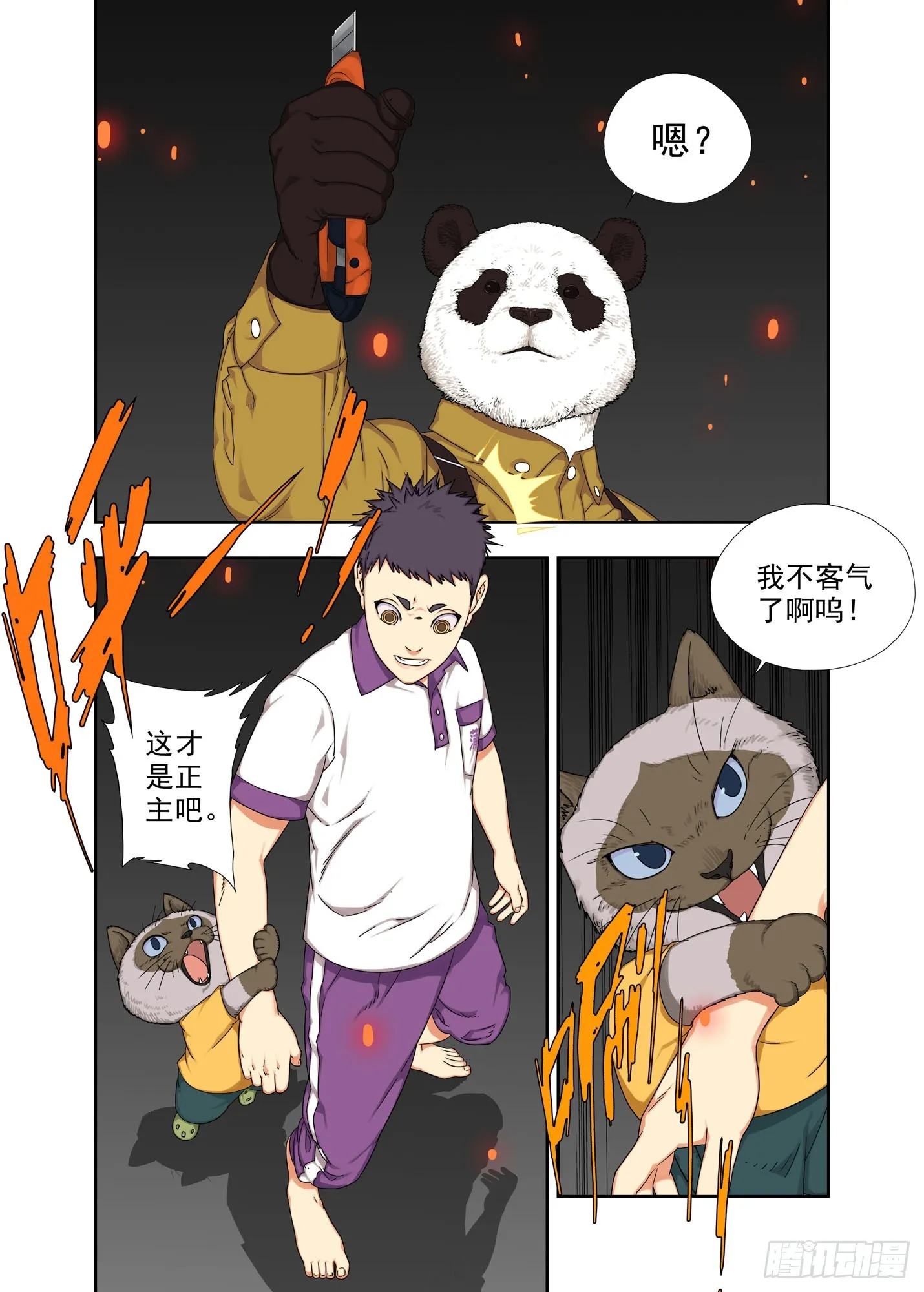 阿猫阿狗 第13页