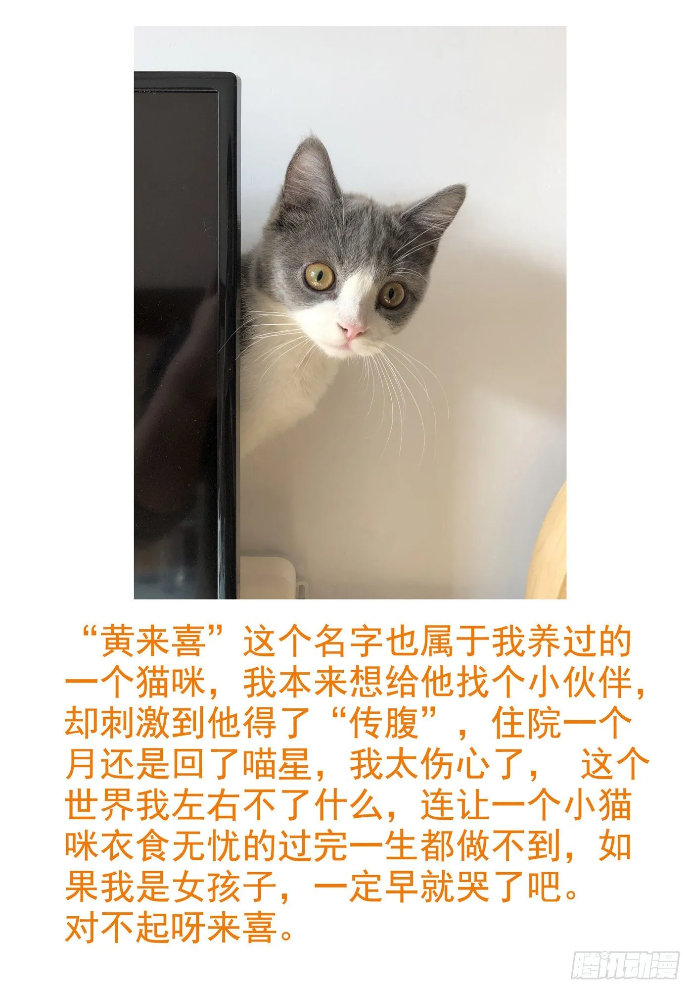 报恩 第27页