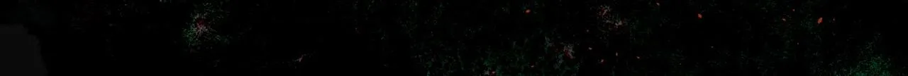 第40话 皆有因果 第74页