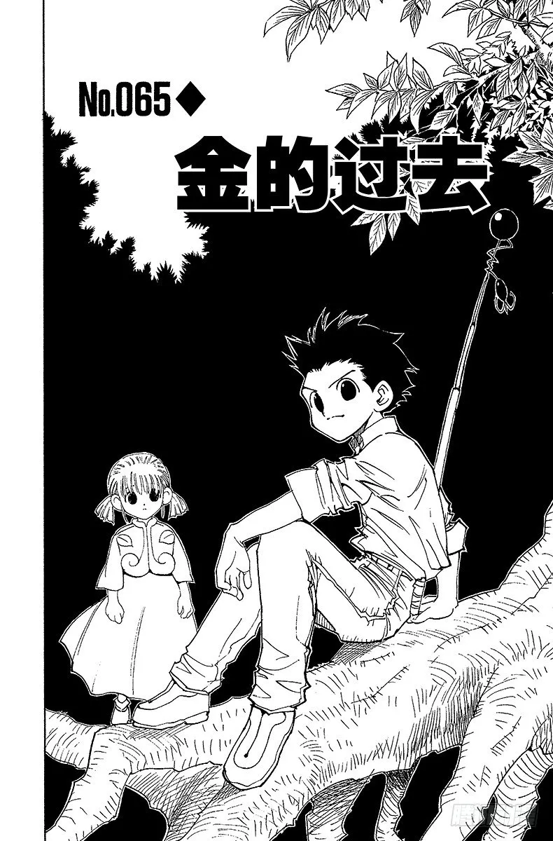 No.065 金的过去 第2页