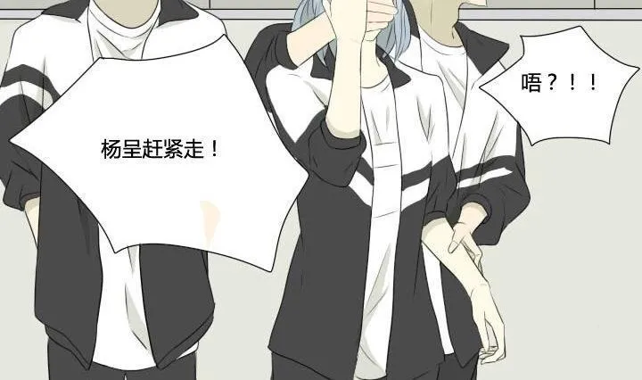 第41话 恶搞和喜讯 第8页