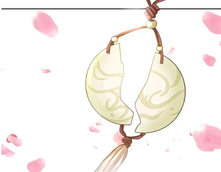 19 掉落的玉佩 第29页
