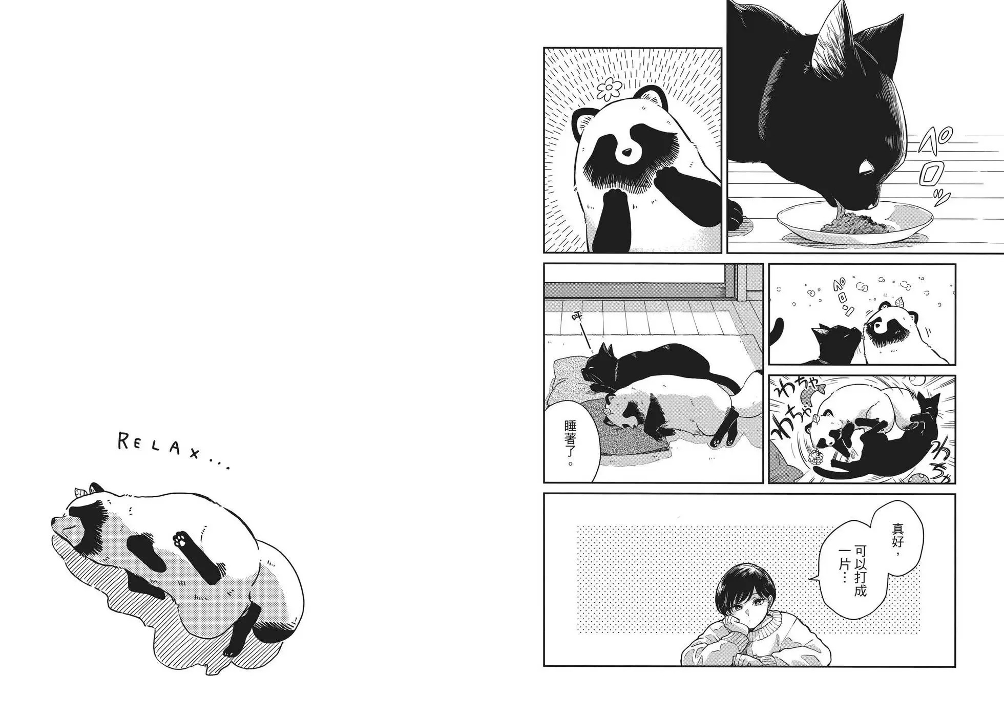 第04卷 第19页