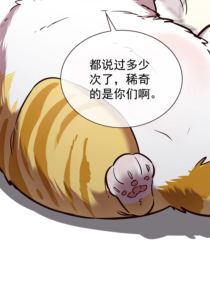 第225话 第53页