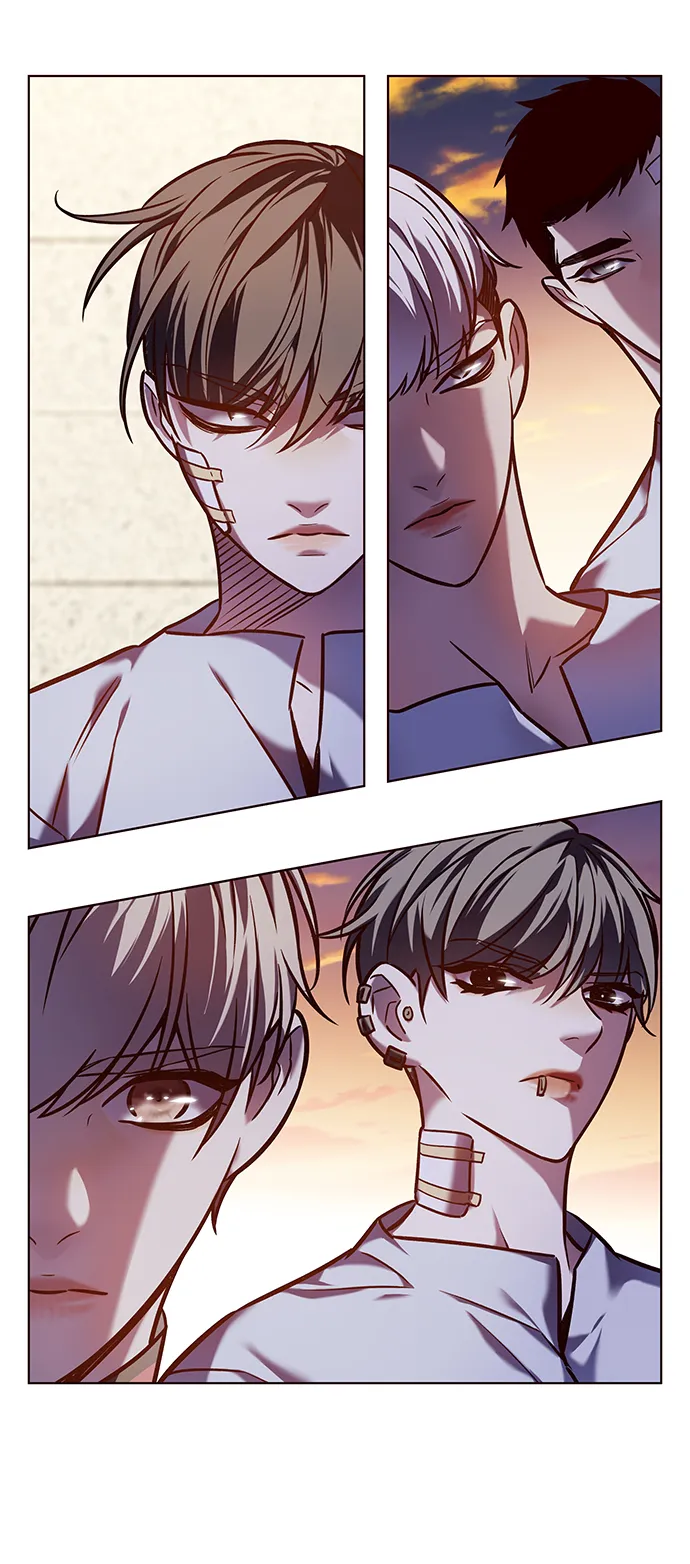第219话 第14页