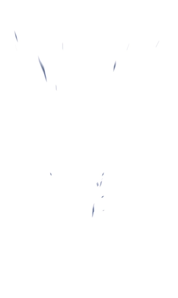 第217话 第85页