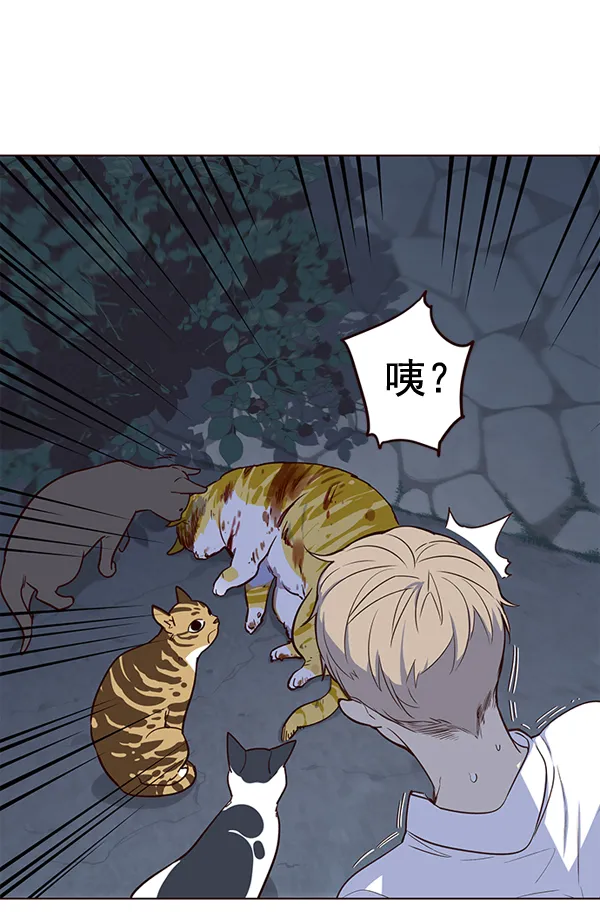 第1话 第62页
