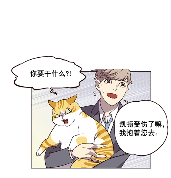 第2话 第51页