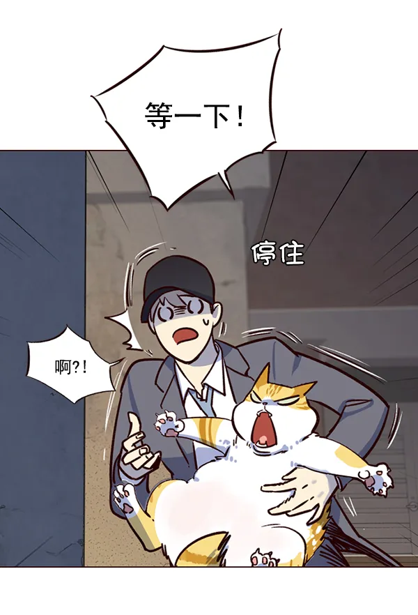 第5话 第42页