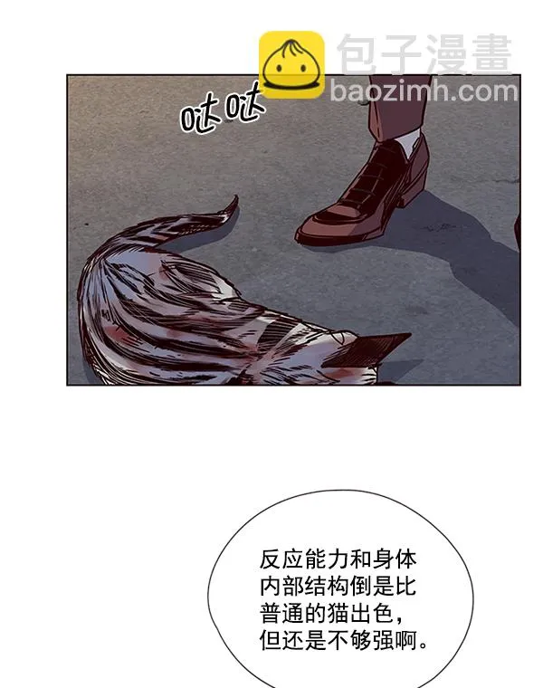 第5话 第71页