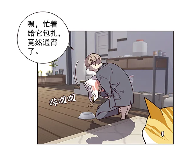 第6话 第43页