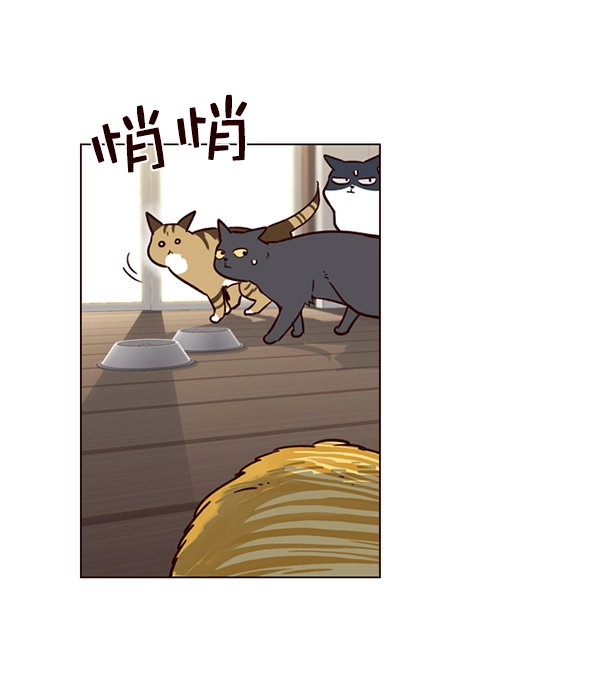 第6话 第80页