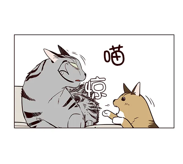 第7话 第75页