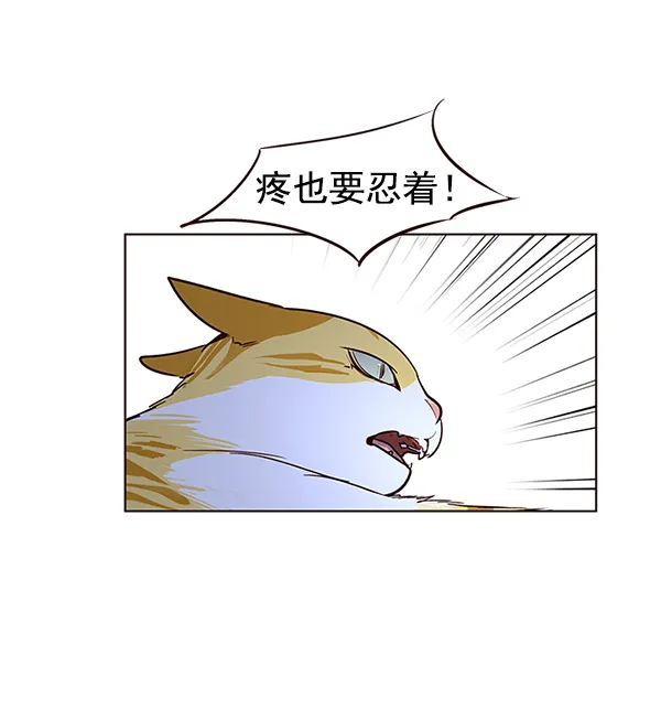 第8话 第97页