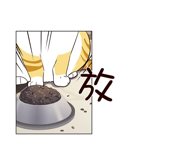 第9话 第17页