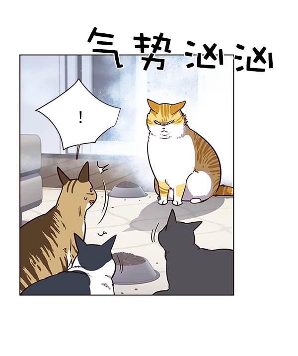 第9话 第36页