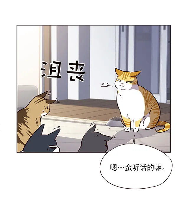 第9话 第37页