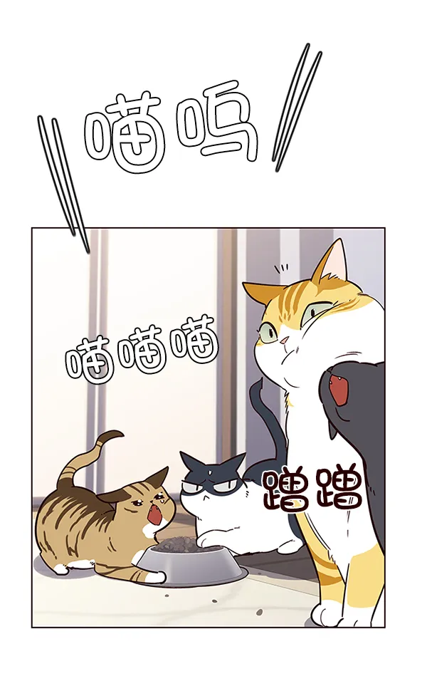 第9话 第41页