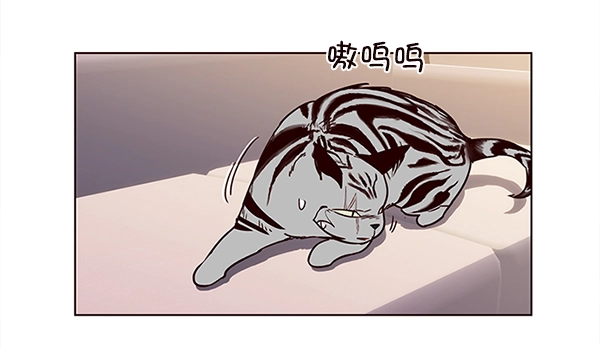 第10话 第19页