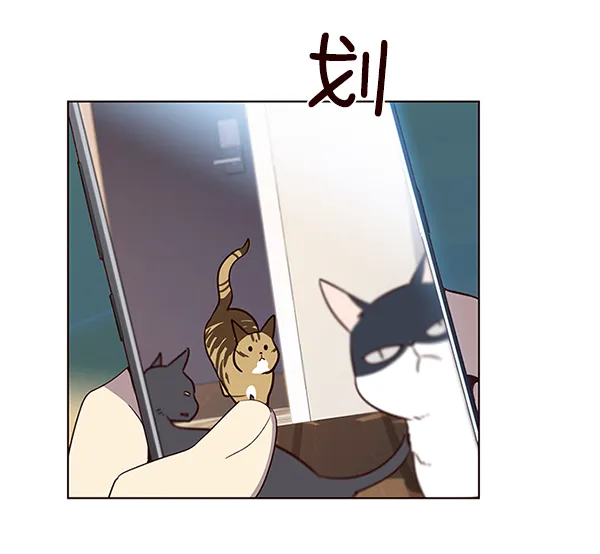 第11话 第20页