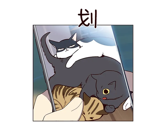 第11话 第21页