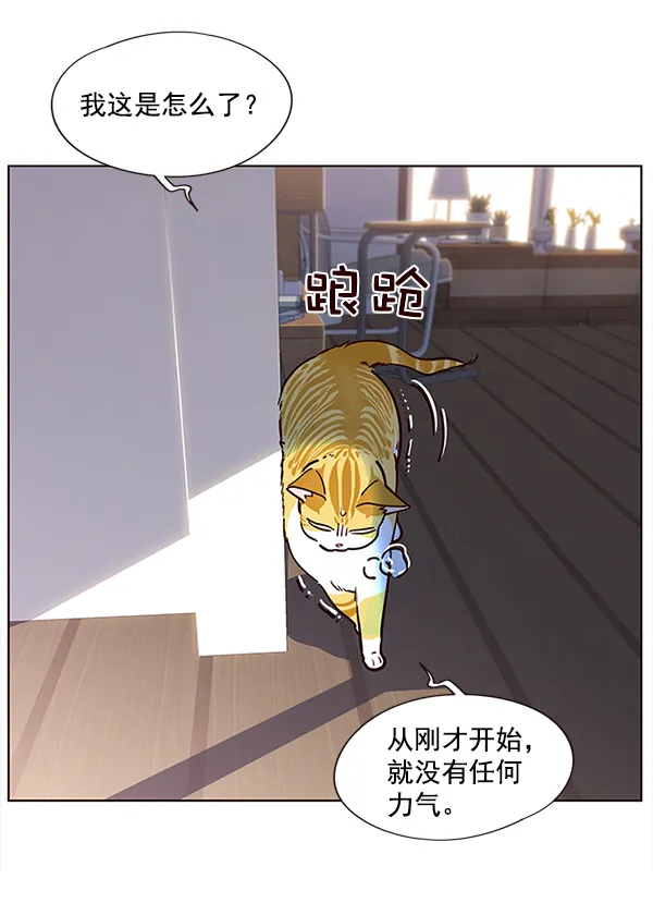 第11话 第31页