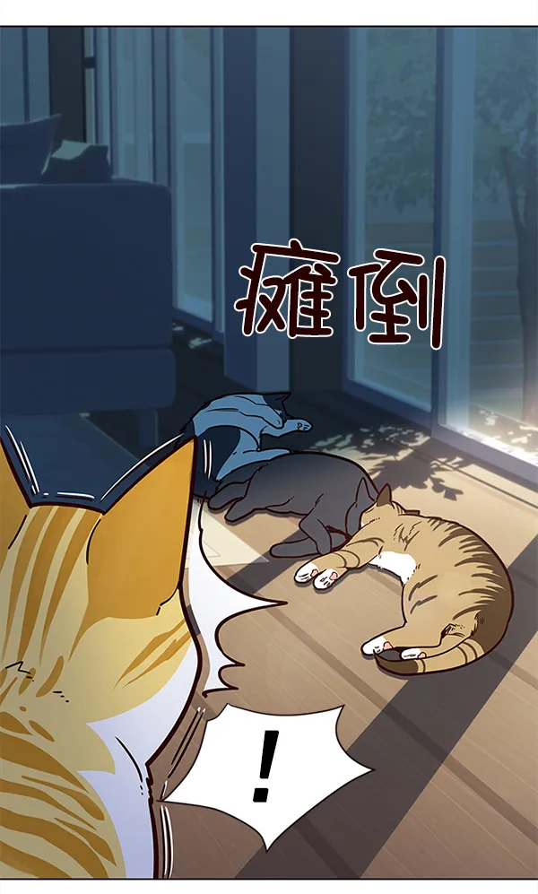 第11话 第33页