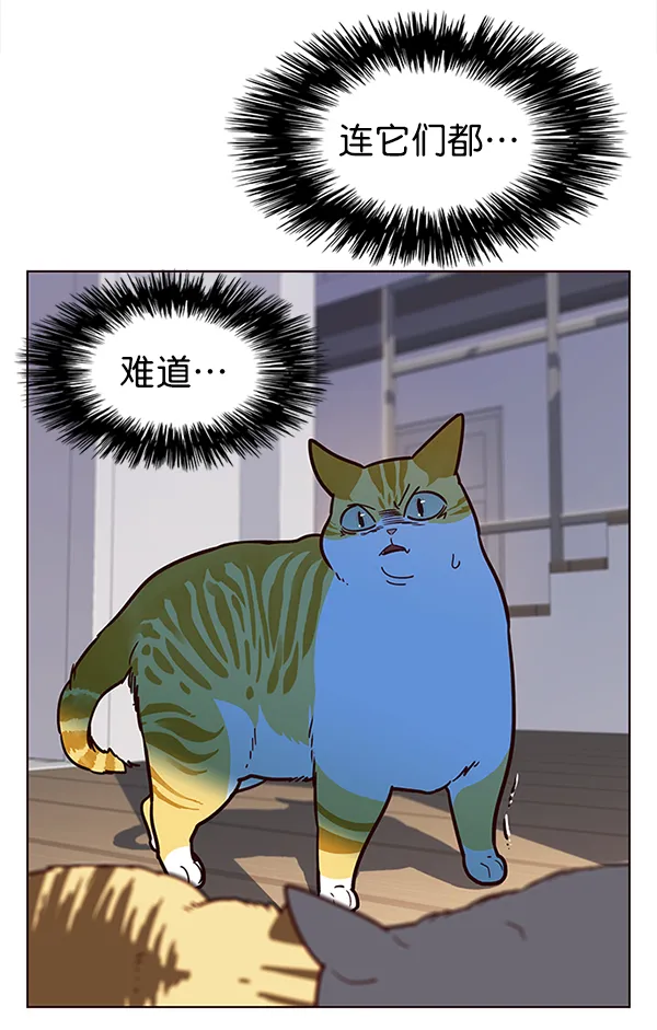 第11话 第34页