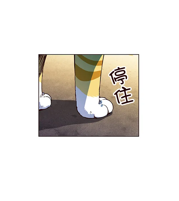 第13话 第6页