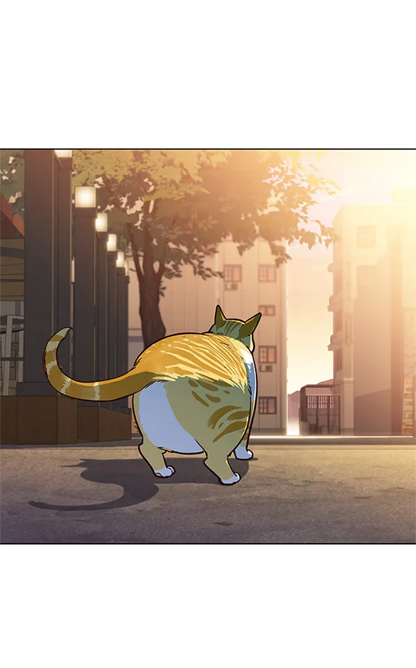 第13话 第7页