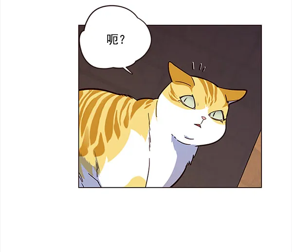 第14话 第54页