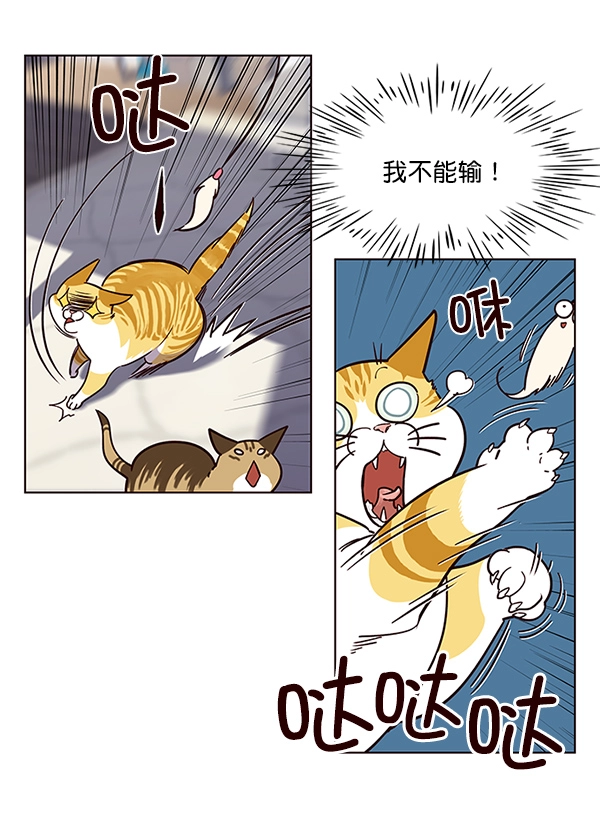 第16话 第43页