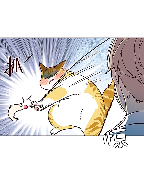 第16话 第46页