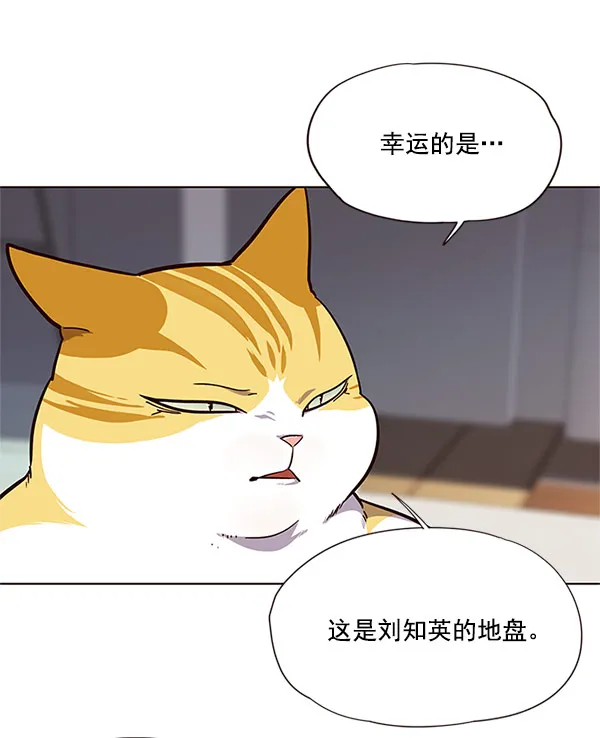 第17话 第35页