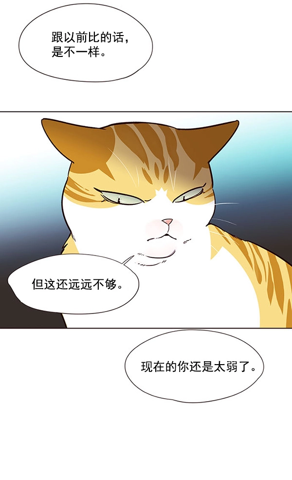 第22话 第19页
