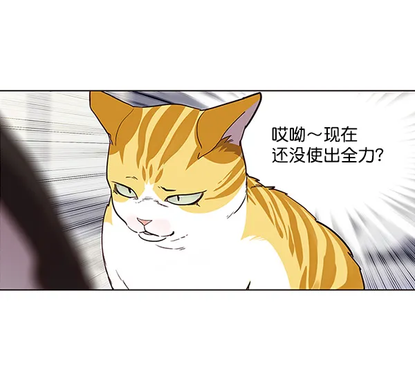 第26话 第25页
