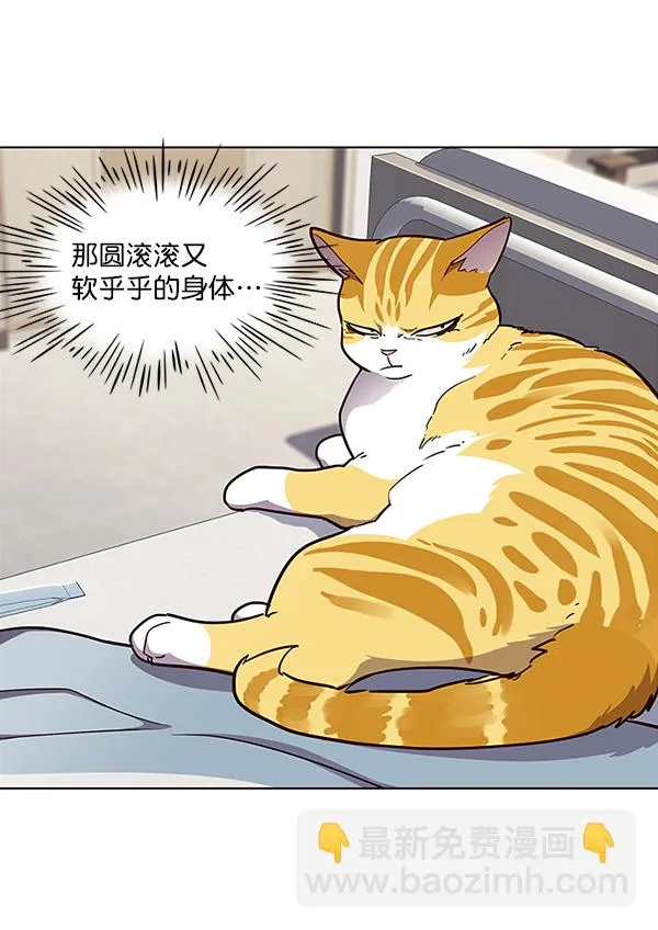 第28话 第44页
