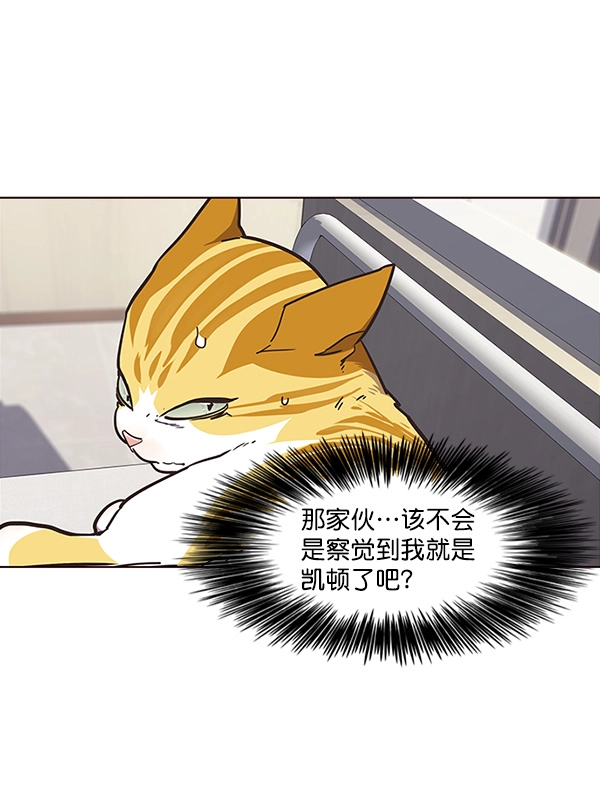 第28话 第60页