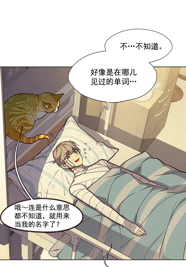 第29话 第19页