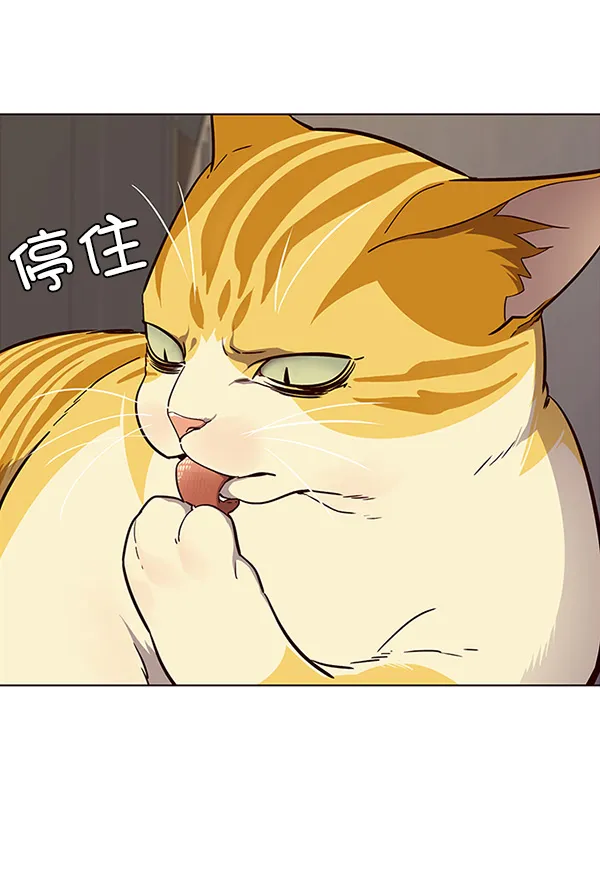 第29话 第27页