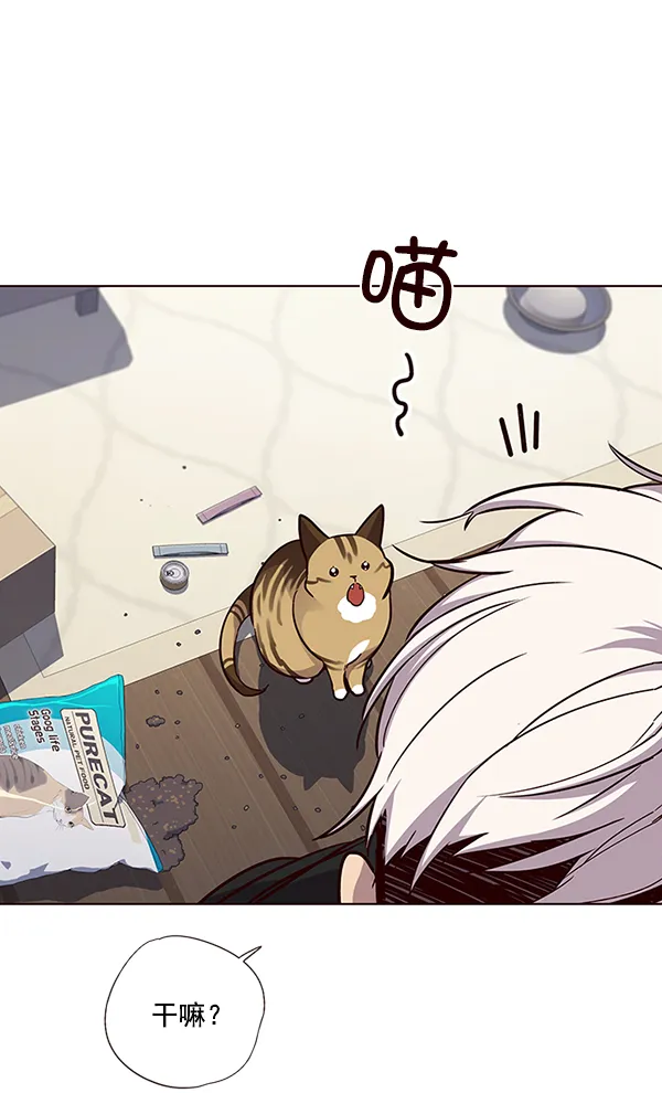 第35话 第13页